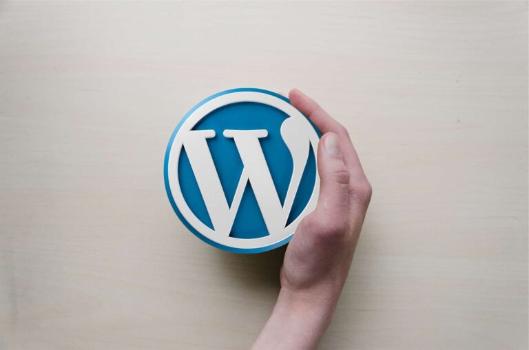 Hand holding WordPress logo